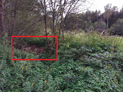 Мусор на пруду Вольер