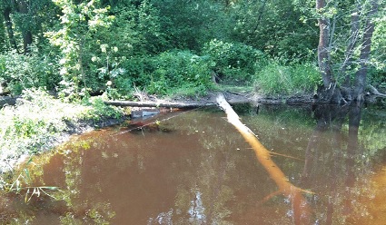 Мост Субботник