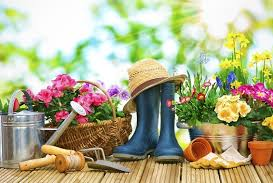 vznosy2024.png vznosy2024